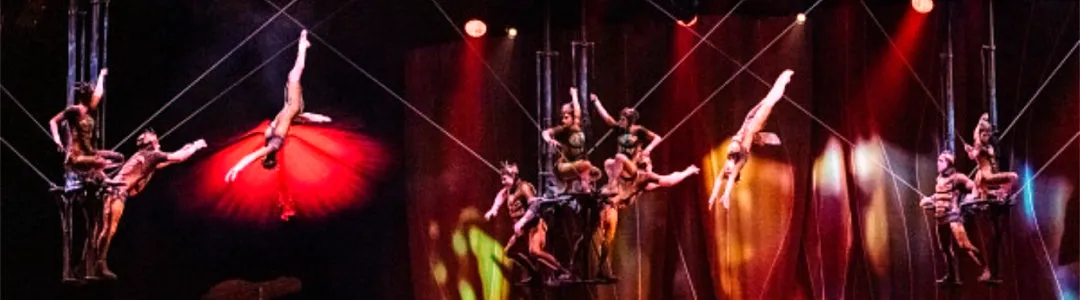 Cirque du Soleil - Ovo