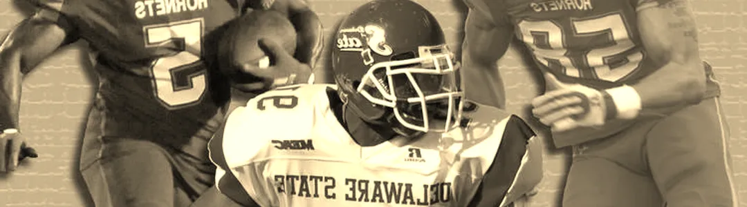 Delaware State Hornets Football