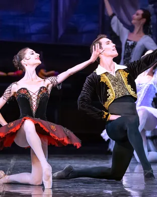 Don Quixote - Ballet