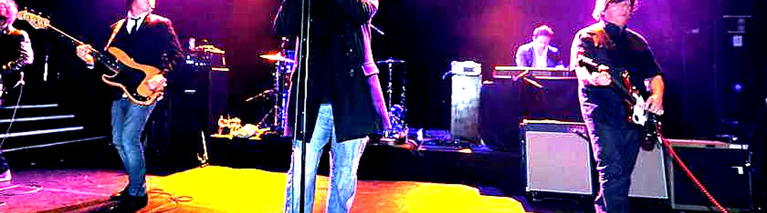 Echo and The Bunnymen