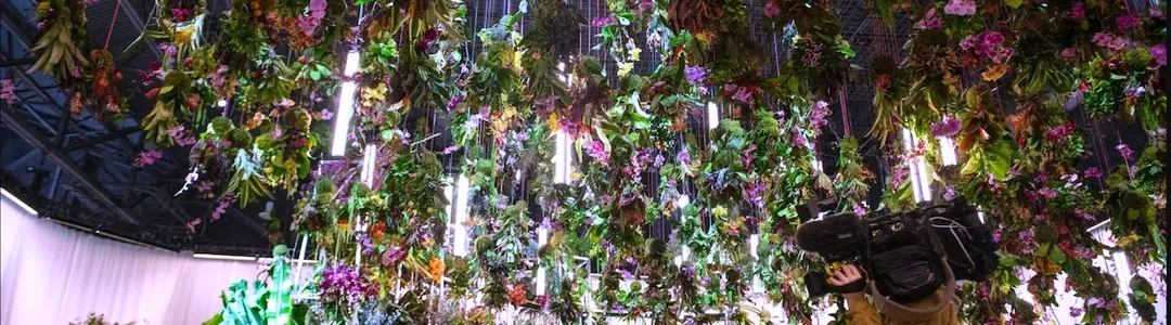 Flower Show
