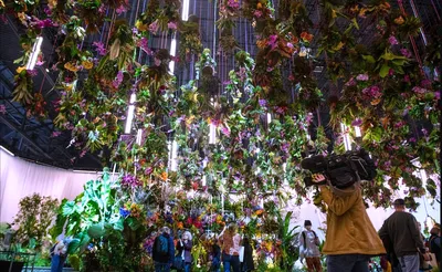 Flower Show