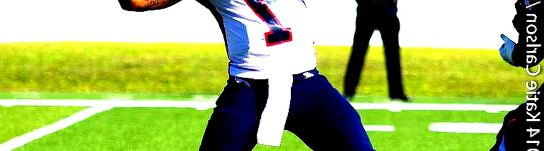 Howard Bison Football