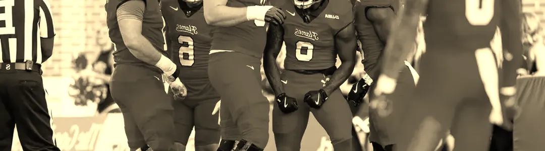 Liberty Flames Football