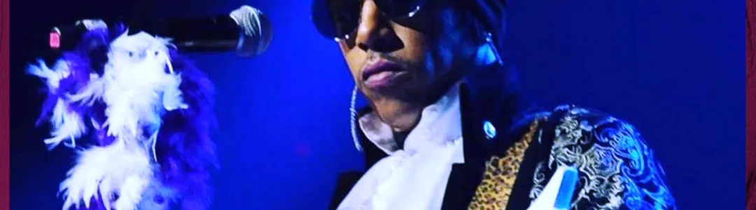 Purple Madness - A Tribute To Prince