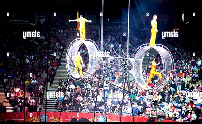 Ringling Bros. and Barnum & Bailey Circus