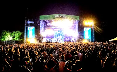 Roots Picnic
