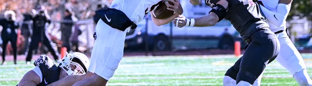 Union College Garnet Chargers