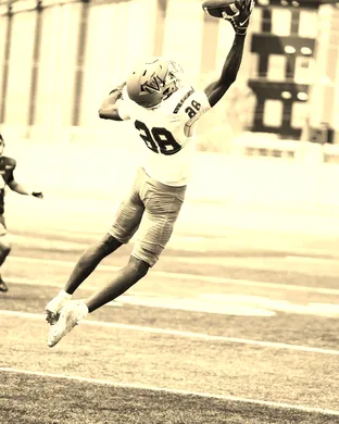 Virginia Union Panthers vs. Lincoln Blue Tigers