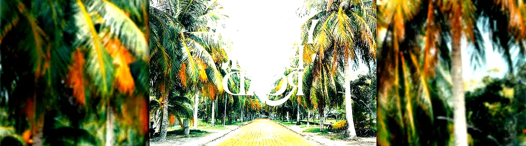 Yellow Brick Road