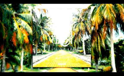 Yellow Brick Road