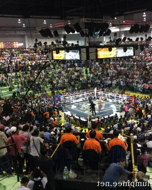 8 Seconds Rodeo