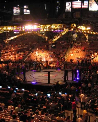 UFC 330: Makhachev vs. Machado Garry sports event