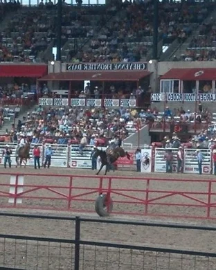 8 Seconds Rodeo