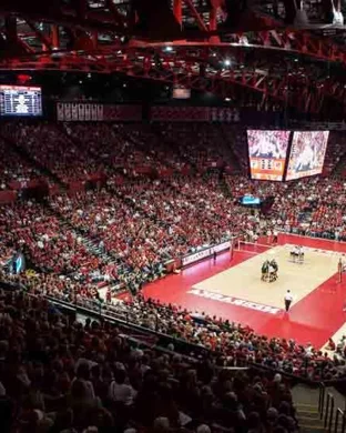 South Florida Bulls Women's Volleyball vs. Temple Owls