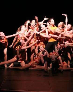 Swan Lake - Symphony of Lights