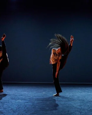 Nrityagram Dance Ensemble